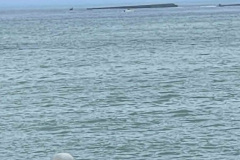 v-breakwater