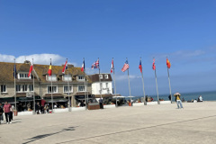 y-flags