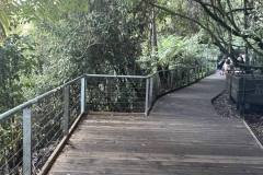 blue-mountain-boardwalk