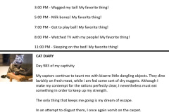 dog-diary