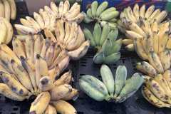brisbane-13