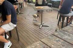 brisbane-24