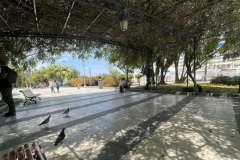 Cadiz-shade