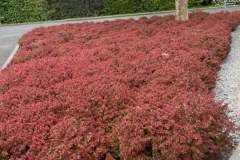 s-landscaping