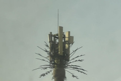 7-Dakar-g-cell-tower