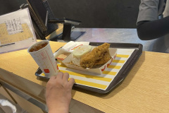 Chicken-and-rice