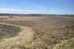a-clearcut