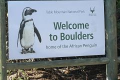 Penguin-1