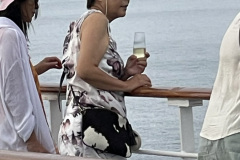 Champagne-and-Queen-Anne