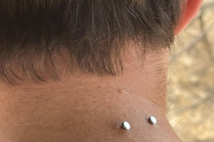 neck-pins