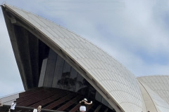 opera-house-roof