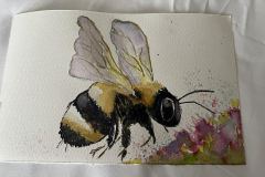 bee