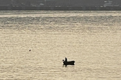 a-Lone-fisherman